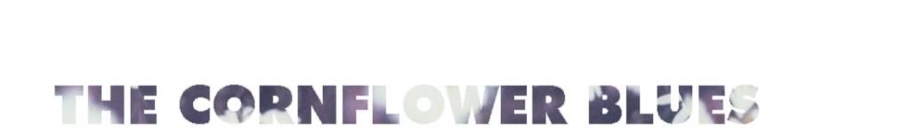 the cornflower archive