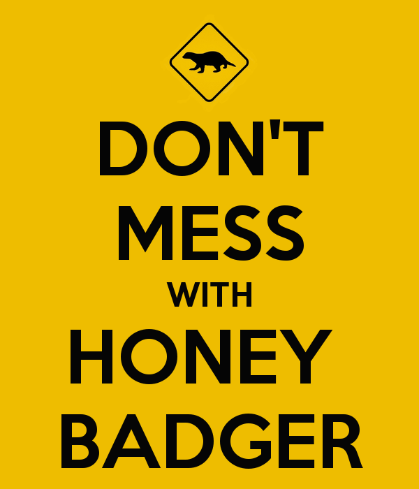 don-t-mess-with-honey-badger_zps2a535b53