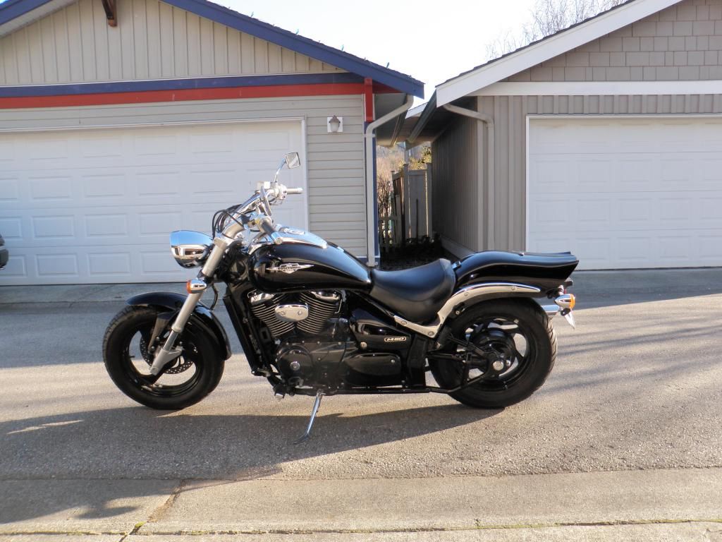 suzuki boulevard m50 bobber