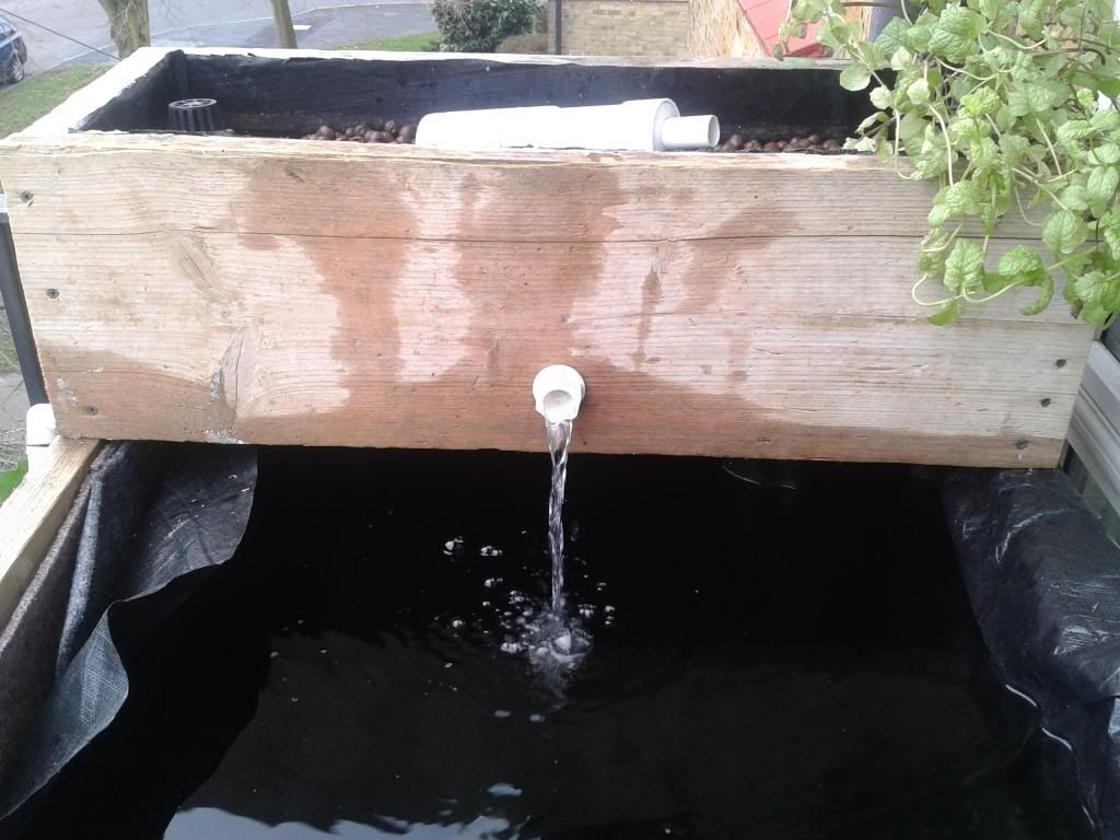 Aquaponics Pond System Design