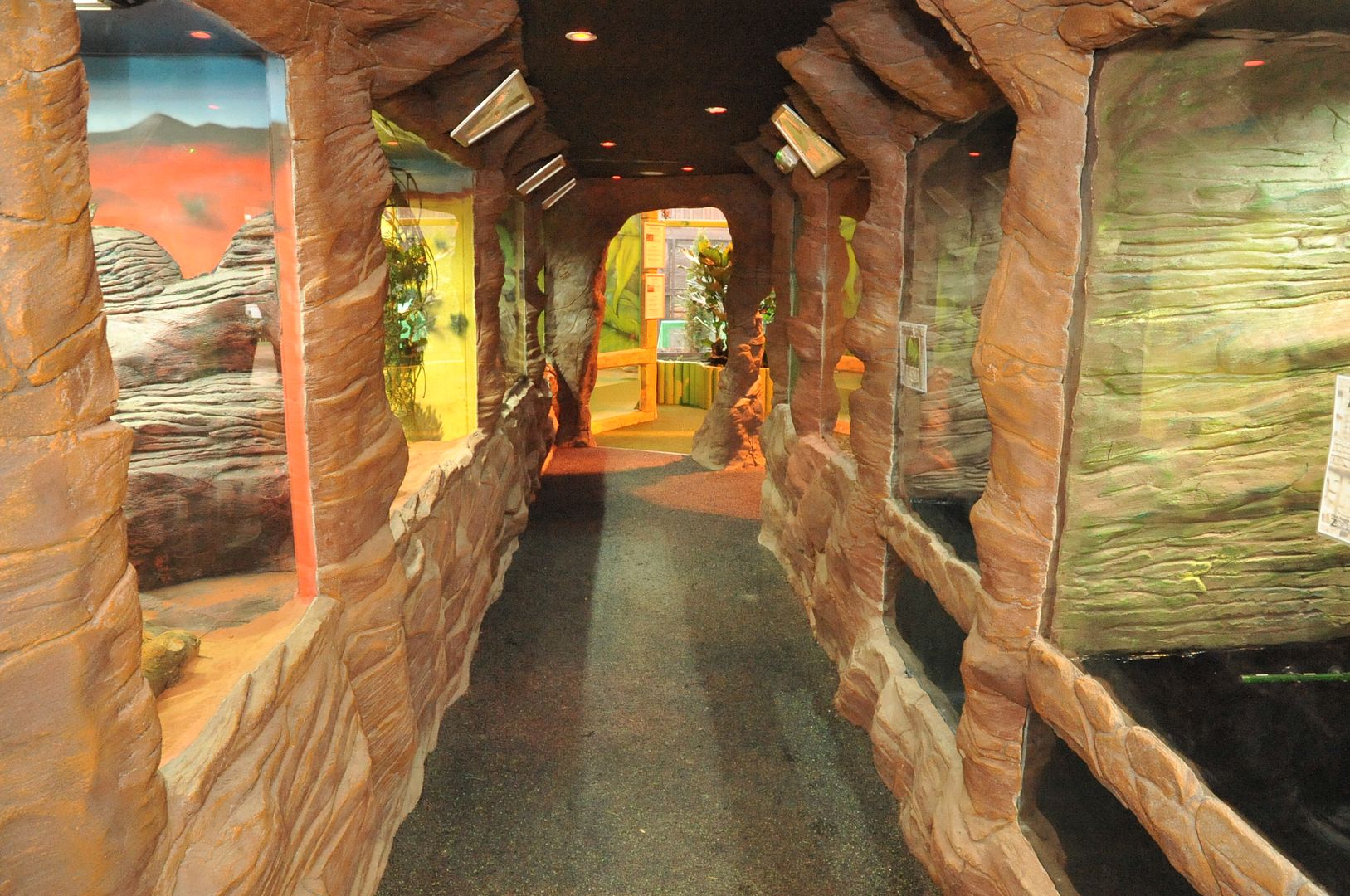 New Zoo Displays, Commercial Project Page 29 Reptile Forums