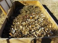 Extreme Composting - Homesteading Questions