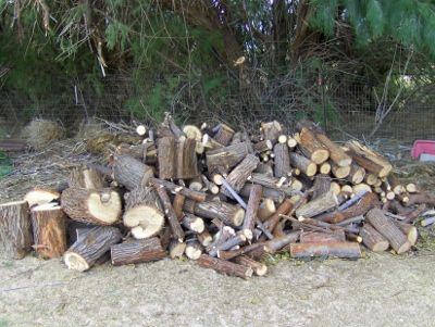 U guys busy cutting wood? - Homesteading Questions