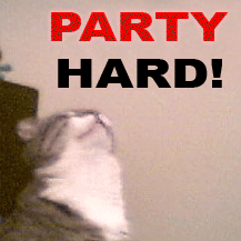 party_hard_cat1_zpscac21d7c.gif