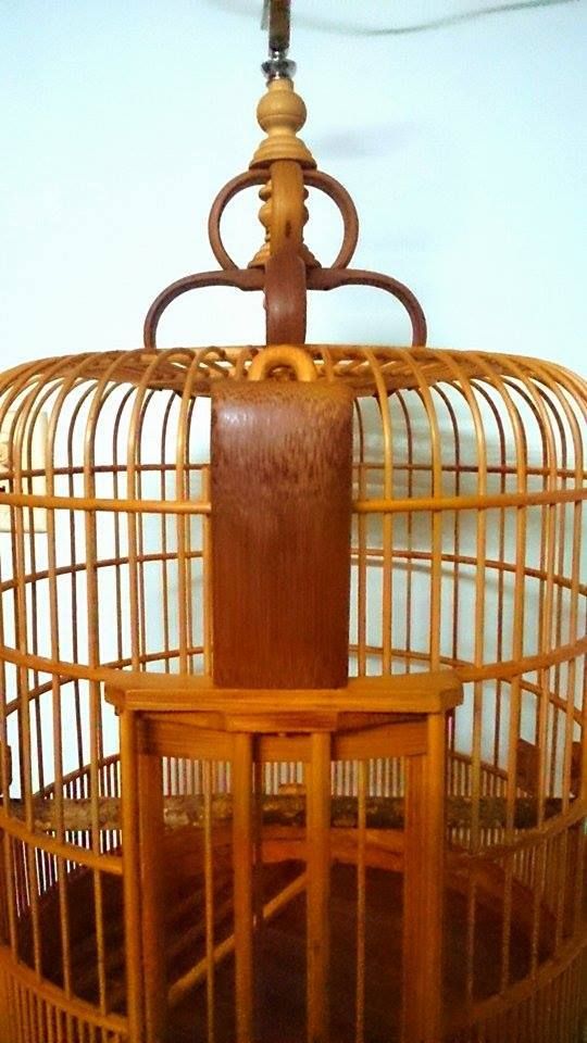 Lồng Biên Hòa tre già Mi đá, Than-MI hót + Chòe than. - 1