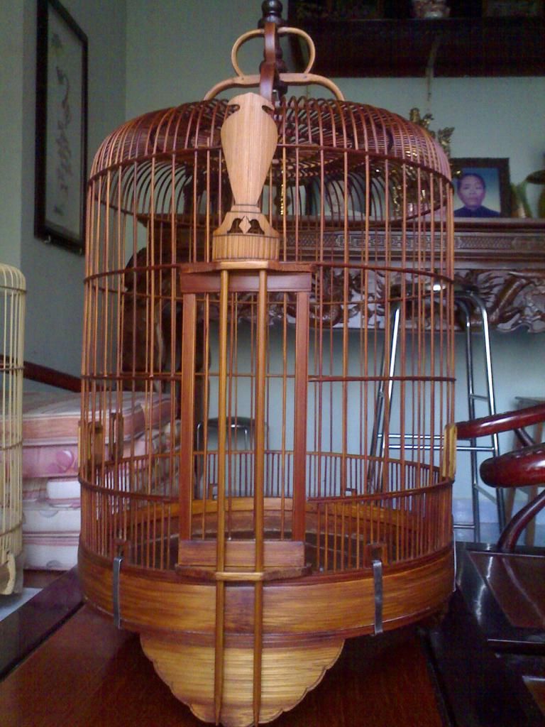 Lồng 56 BH xưa + cu khách.