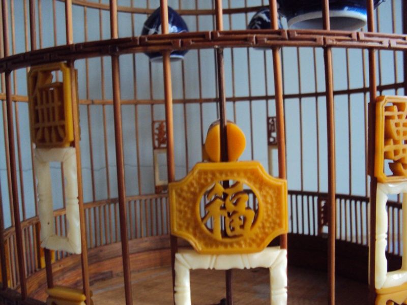 Lồng Chim Than - Mi hót. - 7