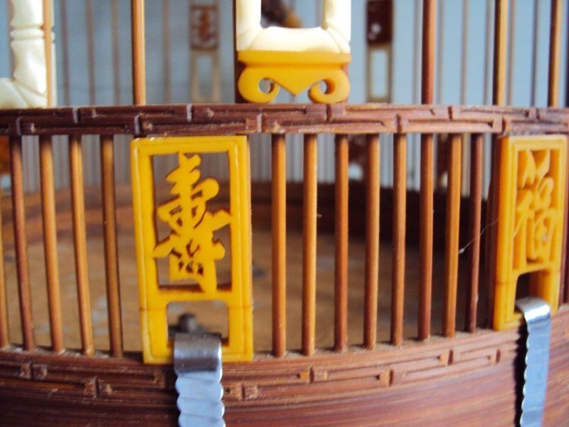 Lồng Chim Than - Mi hót. - 8