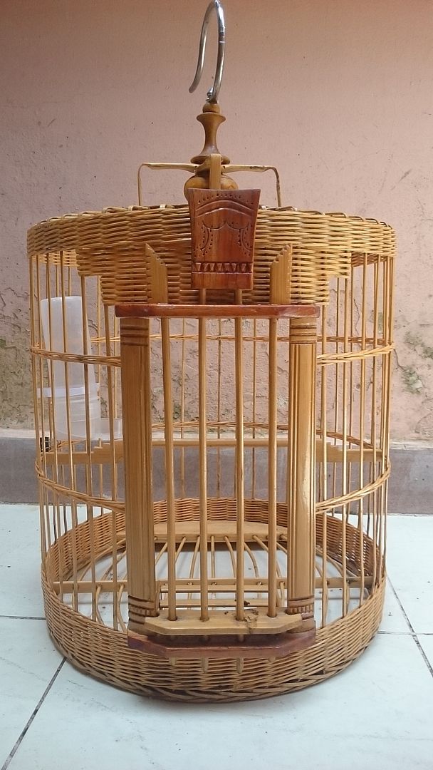 Thanh lý chim + lồng số lượng khủng