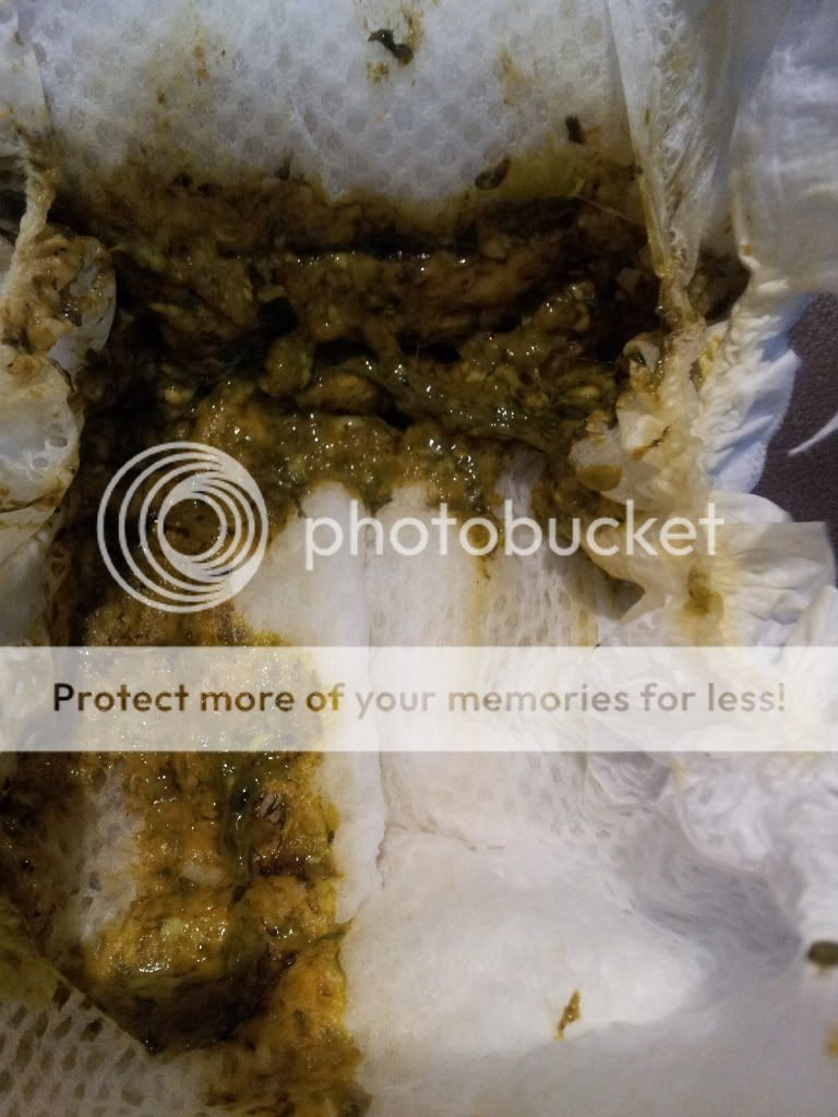 strange looking poop *warning pic* BabyCenter