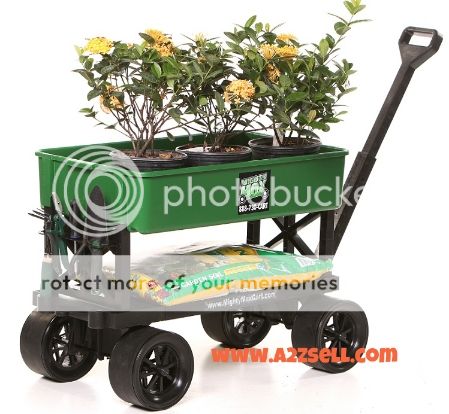 lawn cart, garden cart, garden cart trolley, cart for gardening, beach wagon, fishing cart