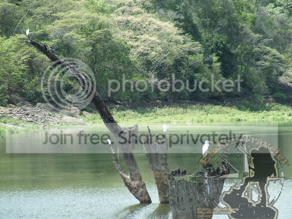 DSCF1107.jpg