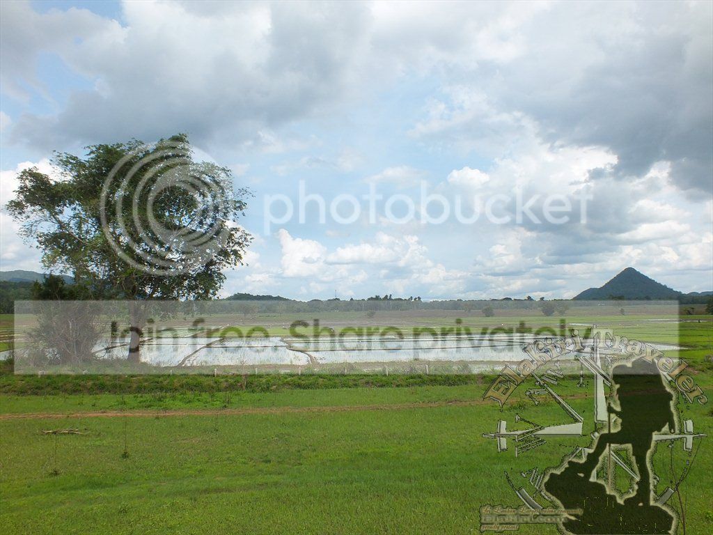 DSCF1165.jpg