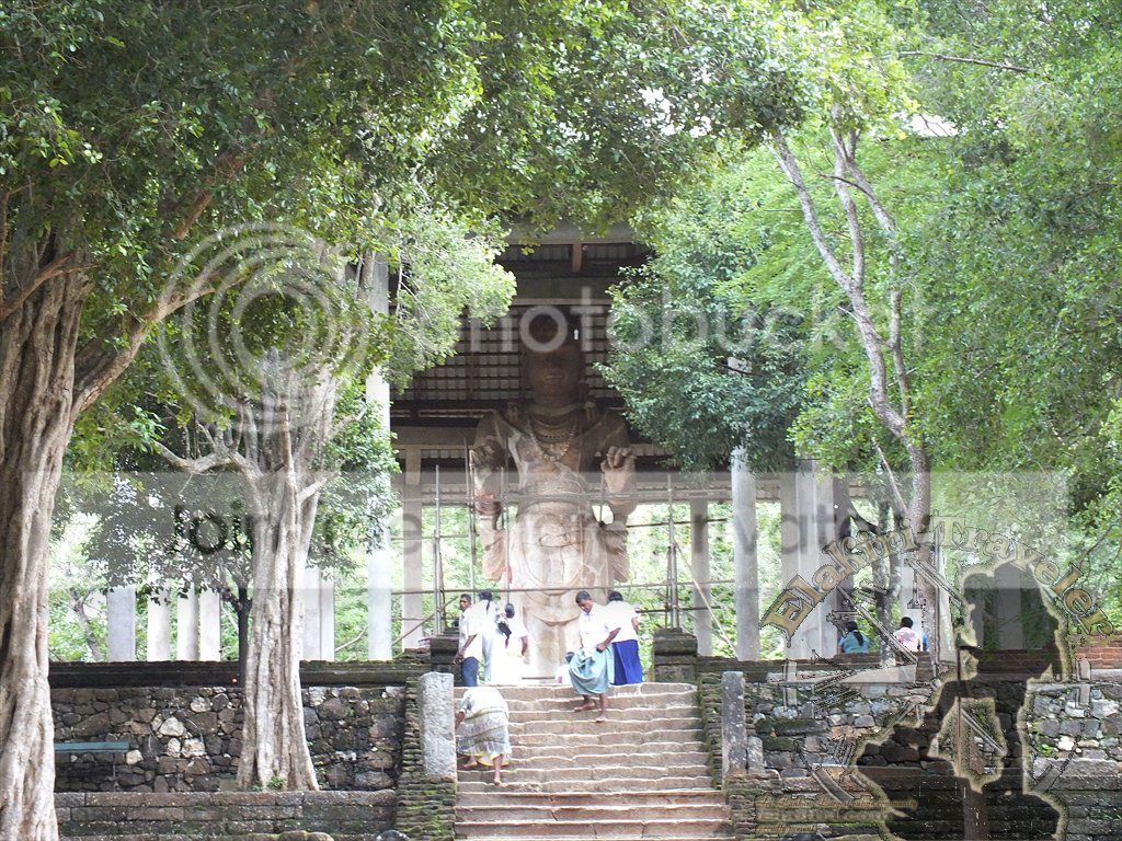 DSCF1224.jpg