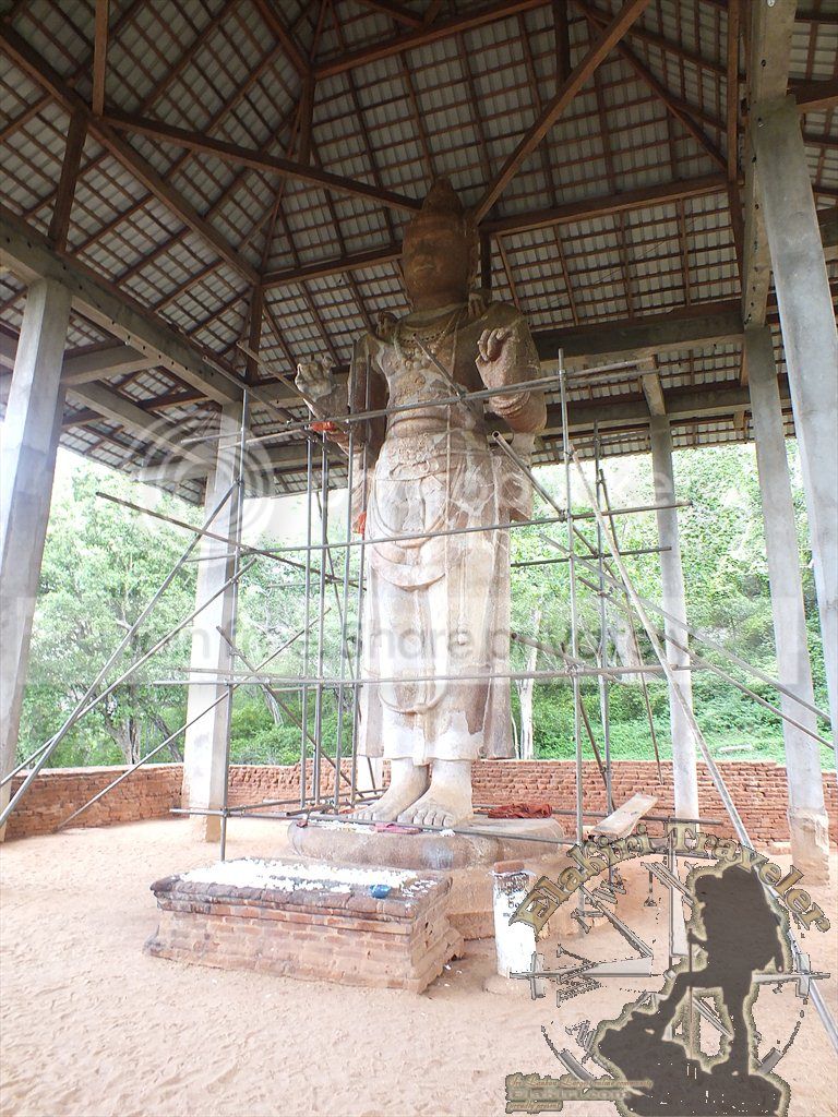 DSCF1227.jpg