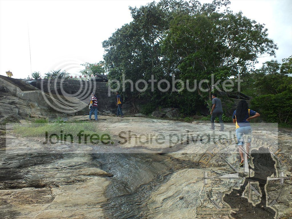 DSCF1340.jpg