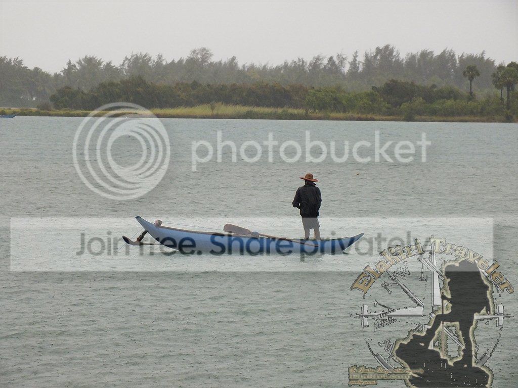 DSCF1378.jpg